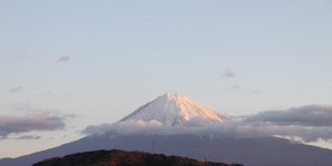 IMG_5500B